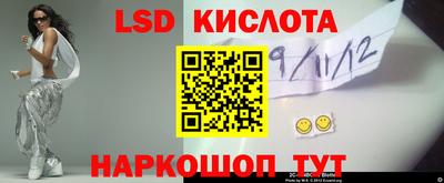 Альфа ПВП Ставрополь