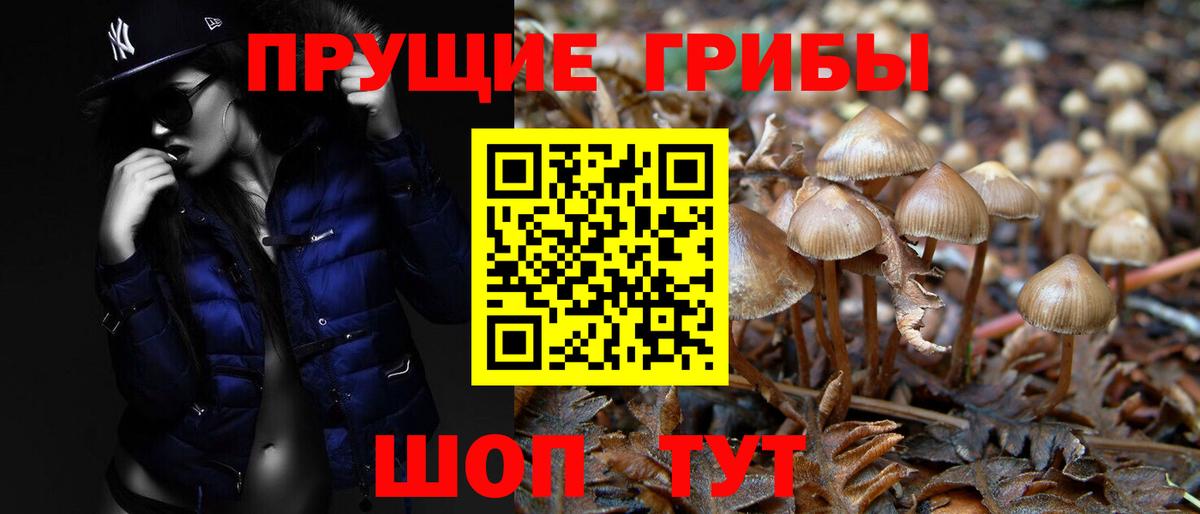 Приморско-Ахтарск  Вход с VPN  ГАШИШ  Cocaine  АМФ кристаллы  Меф МЯУ МЯУ   Мефедрон  Канабис 