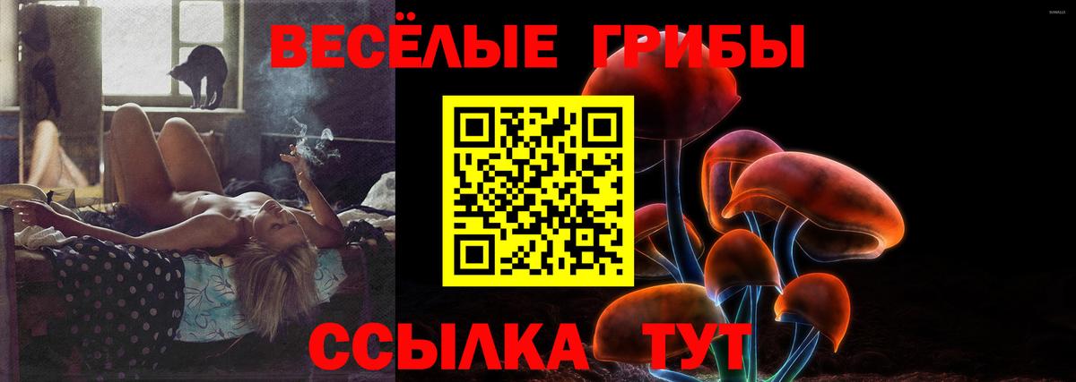 Приморско-Ахтарск  Псилоцибиновые грибы Psilocybine cubensis  Вход с VPN 